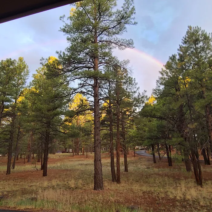 Pine Grove Campground Picture 7
