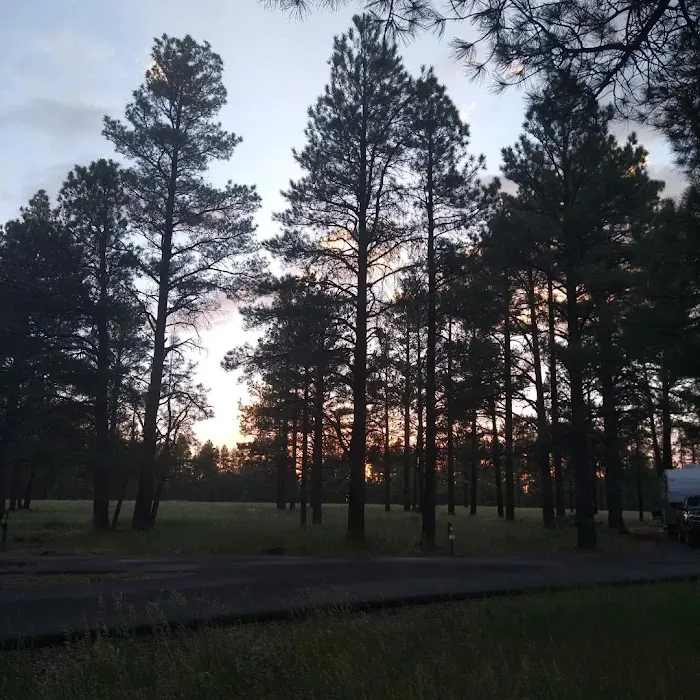 Pine Grove Campground Picture 9
