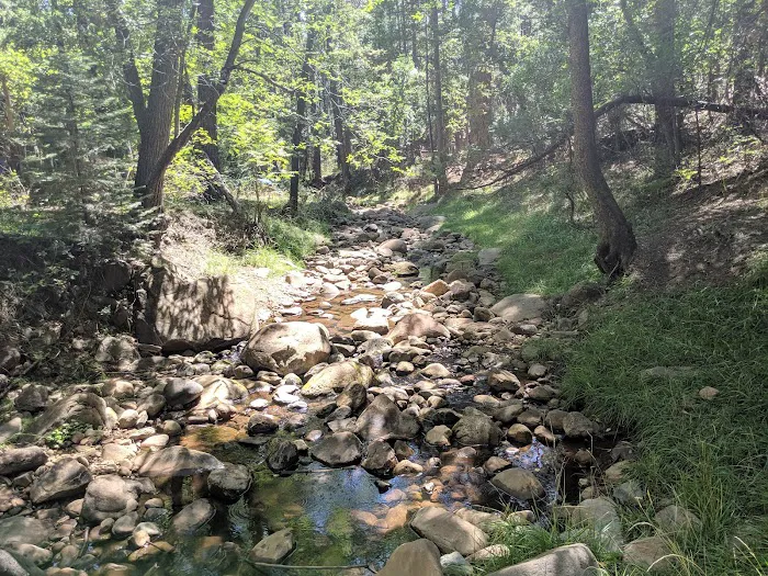 Camp Geronimo Site 19 Picture 1