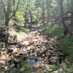 Camp Geronimo Site 19