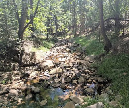 Camp Geronimo Site 19