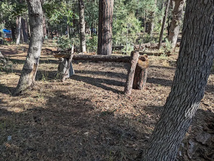 Camp Geronimo Site 19 Picture 3