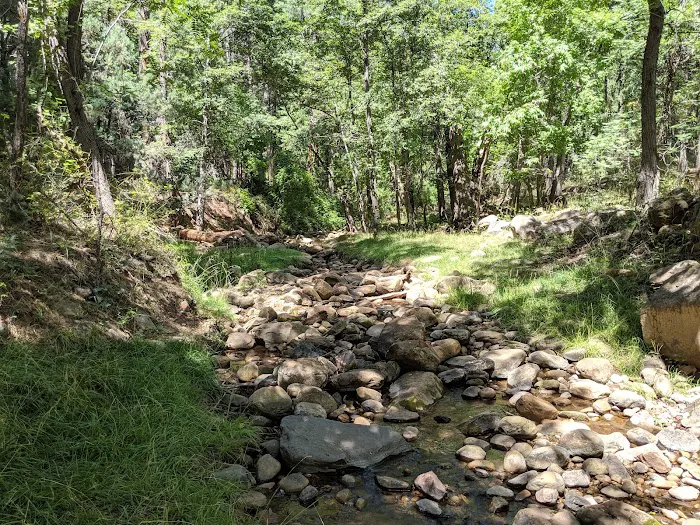 Camp Geronimo Site 19 Picture 6