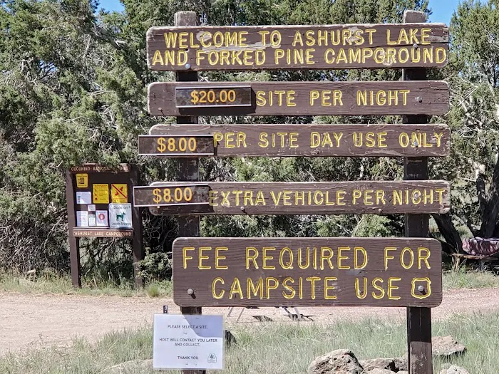 Ashurst Lake Campgrounds Picture 8