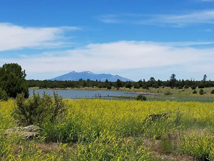 Forked Pine Campground Picture 10