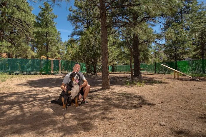 Flagstaff KOA Holiday Picture 7