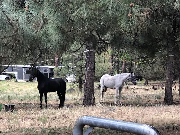 Little Elden Springs Horse Campground Picture 1