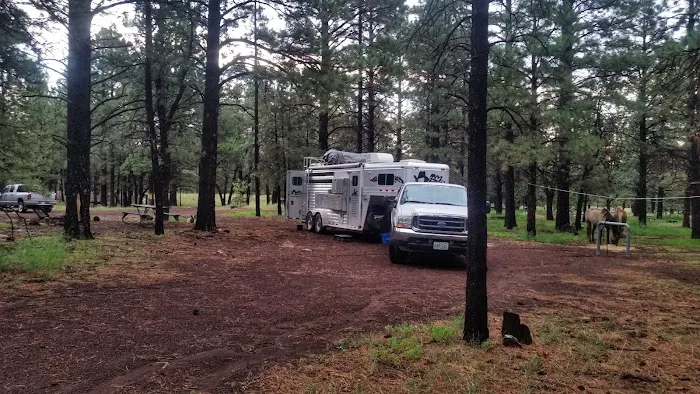 Little Elden Springs Horse Campground Picture 8