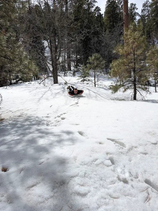 Little Elden Springs Horse Campground Picture 6