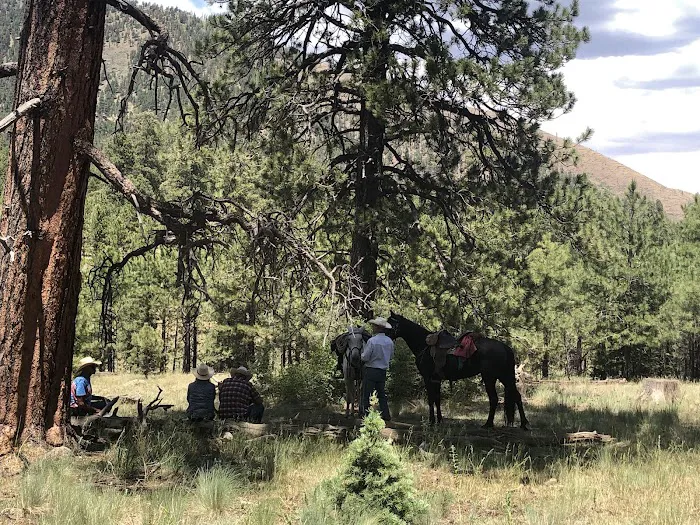Little Elden Springs Horse Campground Picture 7