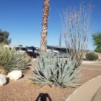 (OLD) Agave Gulch FamCamp Section ico