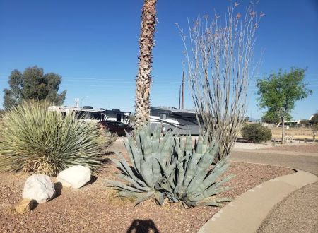 (OLD) Agave Gulch FamCamp Section