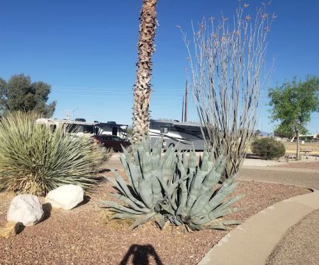 (OLD) Agave Gulch FamCamp Section