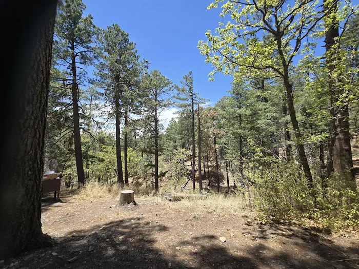 Spencer Canyon Campground Picture 2