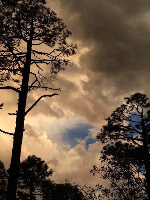 Spencer Canyon Campground Picture 6