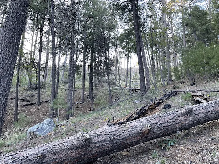 Spencer Canyon Campground Picture 5