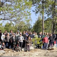 Whitetail Group Site ico
