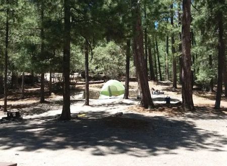 Showers Point Group Site