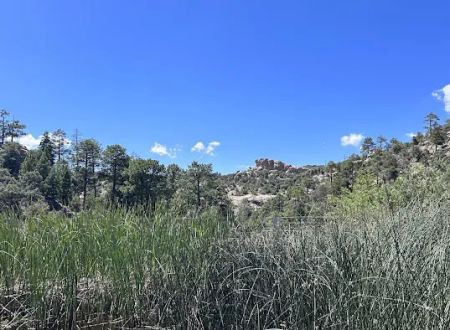 Rose Canyon Lake