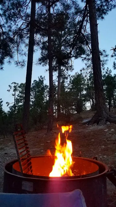 Rose Canyon Lake Picture 8