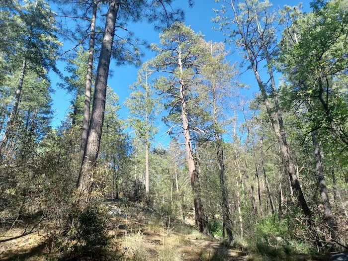 Rose Canyon Lake Picture 7