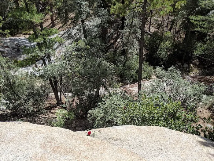 Rose Canyon Lake Picture 10