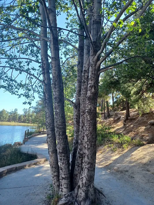 Rose Canyon Campground Picture 2