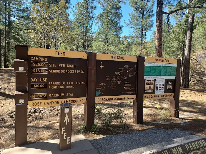 Rose Canyon Campground Picture 3