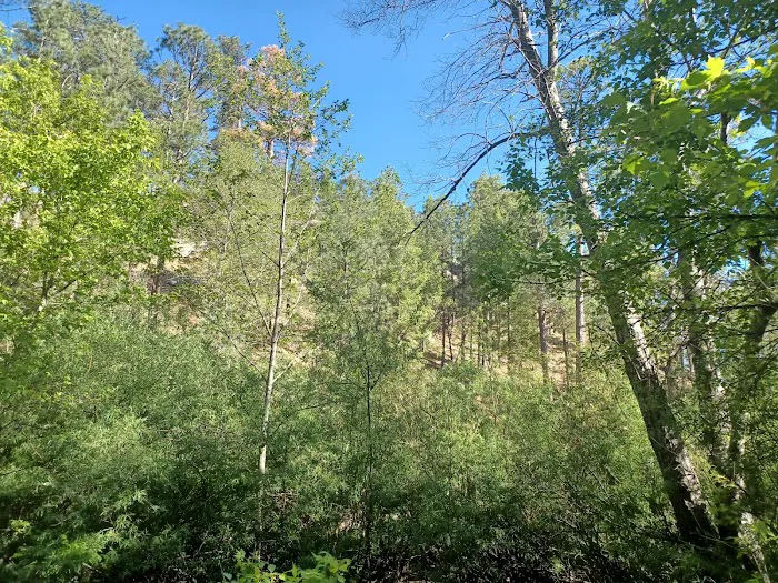 Rose Canyon Campground Picture 5