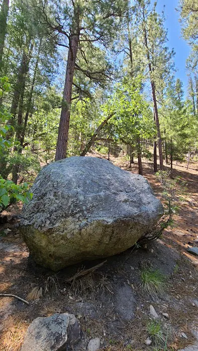 Rose Canyon Campground Picture 6