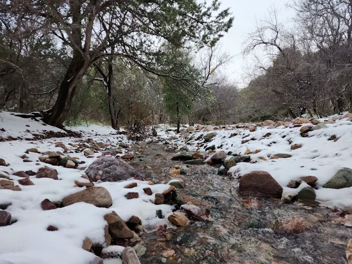 Peppersauce Campground Picture 2