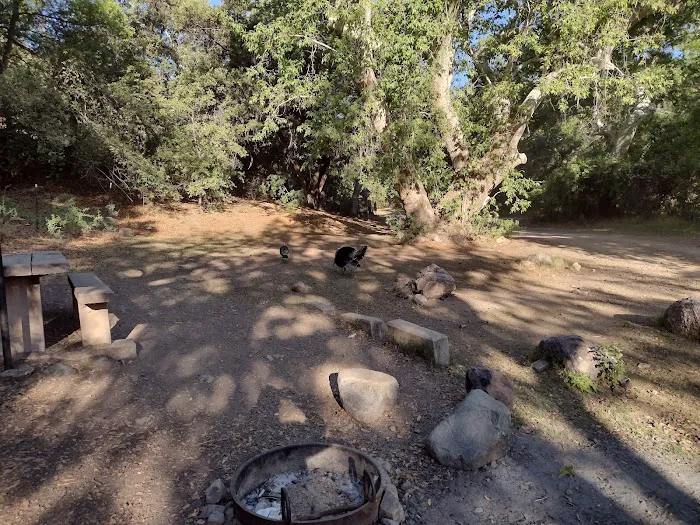 Peppersauce Campground Picture 3