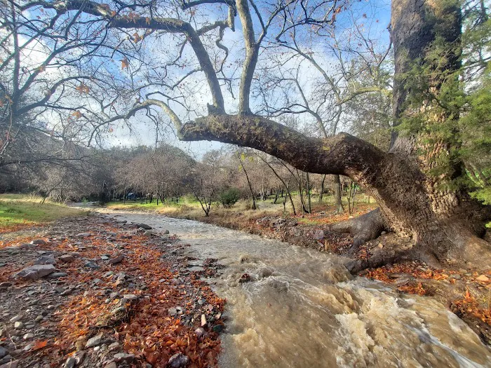 Peppersauce Campground Picture 10