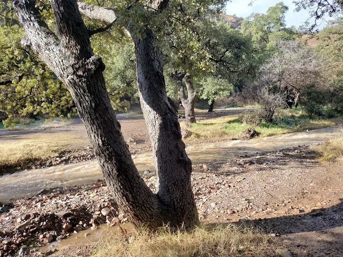 Peppersauce Campground Picture 8