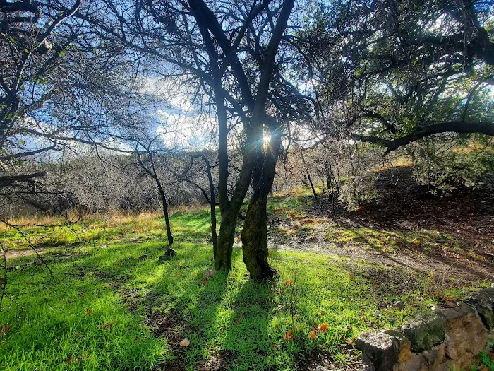 Peppersauce Campground Picture 9