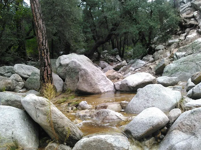 General Hitchcock Campground Picture 5