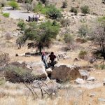 Molino Basin Campground