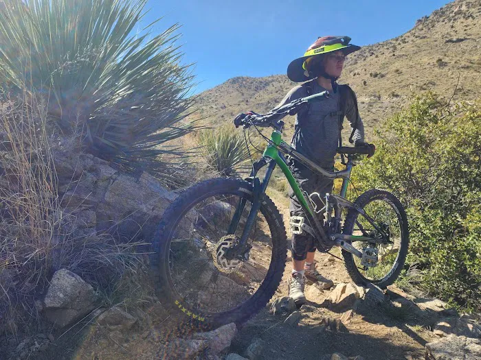 Molino Basin Campground Picture 4