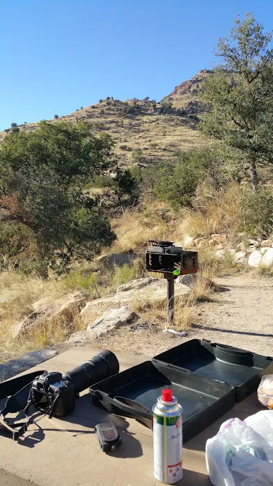 Molino Basin Campground Picture 9