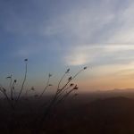 Redington Pass Dispersed