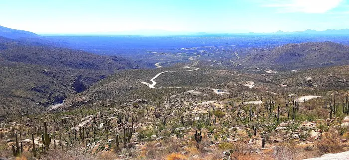 Redington Pass Dispersed Picture 3