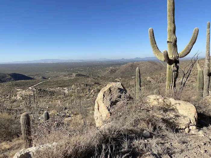 Redington Pass Dispersed Picture 5