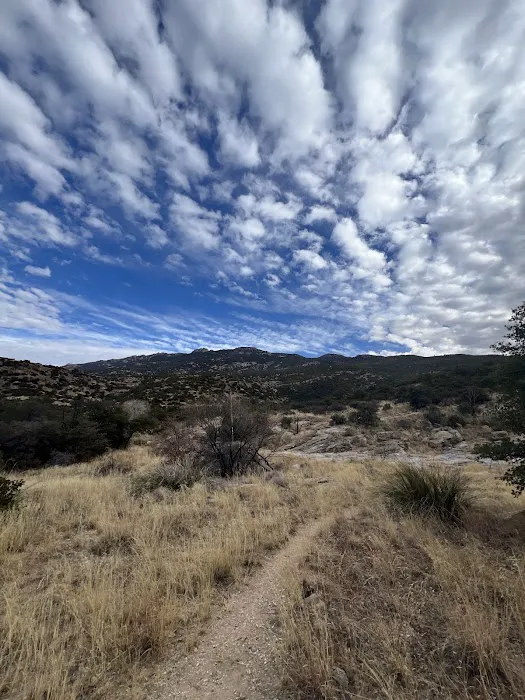 Douglas Spring Campground Picture 7