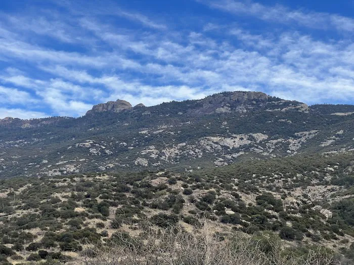 Douglas Spring Campground Picture 6