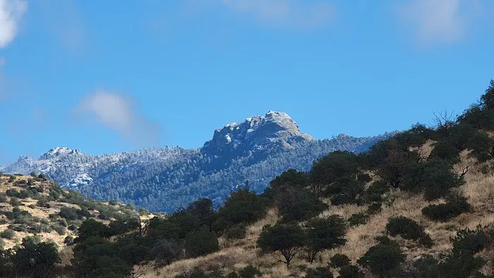 Douglas Spring Campground Picture 3