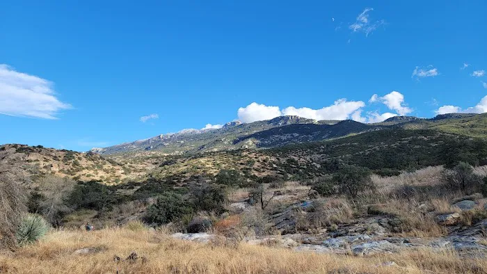 Douglas Spring Campground Picture 2