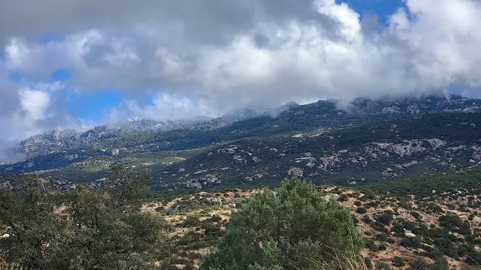 Douglas Spring Campground Picture 4