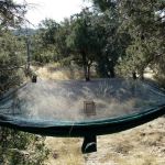 Douglas Spring Campground