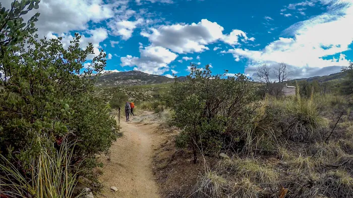 Douglas Spring Campground Picture 10