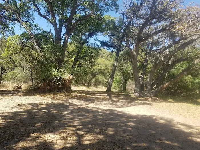 Grass Shack Picture 8